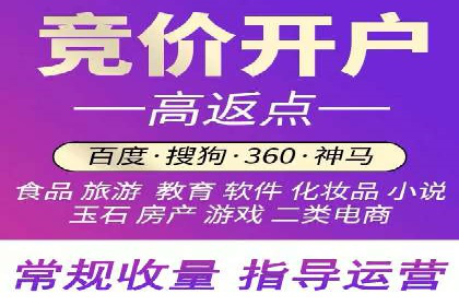 百度广告投放策略与效果评估案例